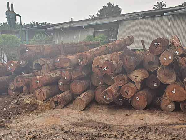 NYATOH Log